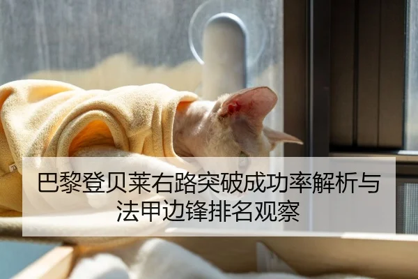 巴黎登贝莱右路突破成功率解析与法甲边锋排名观察 - kaiyun