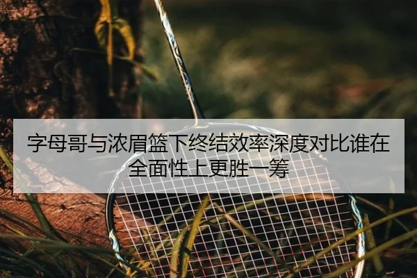 字母哥与浓眉篮下终结效率深度对比谁在全面性上更胜一筹